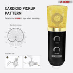 5Core Podcast Microphone Bundle — Condenser Mic, Arm, Shock Mount & Pop Filter