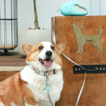 Retractable LED Dog Leash — Safe Night Walks, One-Button Lock, Tangle-Free